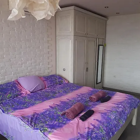 дима Daire